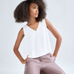 Babaton Murphy Blouse by Aritzia in Espace